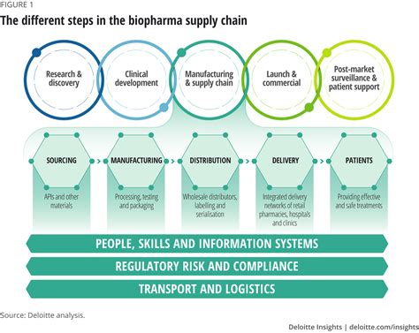 The different steps in the biopharma supply chain | Supply ...