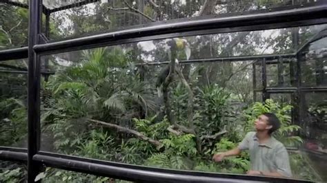 Gembira Loka Zoo Yogyakarta 2014's Video Profile .. - YouTube