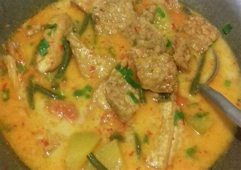 Masukkan santan dan tempe, masak sampai kuah menyusut. Resep Tahu tempe kuah santan sayur oleh Juwita Ridayanti ...