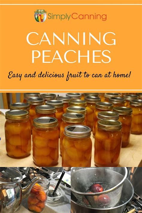 Canning Peaches Water Bath Canning For Beginners Recipe Canning