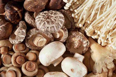 How To Tell If Mushrooms Are Bad [a Complete Guide]