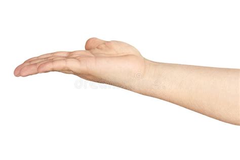 Outstretched Arm Stock Photo Image Of Reaching Bare 2345270