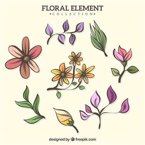 Free Vector Hand Drawn Floral Elements Collection