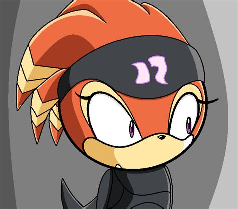 Shade Staring Sonic X Xd By Deathsbell On Deviantart