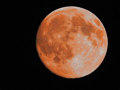 Fotos Gratis Atmósfera Luna Llena Circulo Gran Luna Astronomía