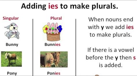 Add s to form the plural.: Singular and Plural Words - NOUNS - Vocabulary Building ...