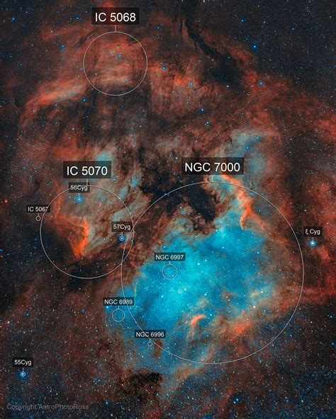 NGC7000 and IC5070 in HOO Narrowband ( AstroPhotoRoss ) - AstroBin