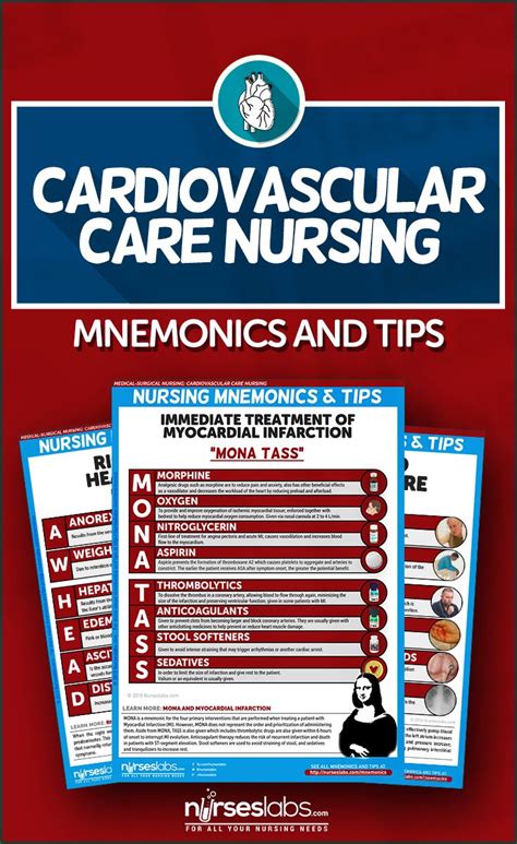 The Cardio Ascular Care Nursing Manual Is Shown In Red And Blue