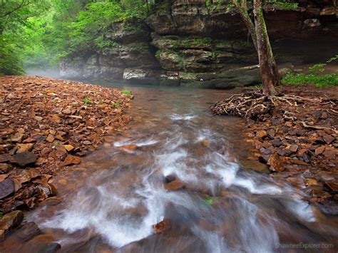 Maybe you would like to learn more about one of these? Bell Smith Springs in Illinois is Great for Swimming