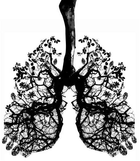 Doodle Lungs Lungs Art Anatomy Art Medical Art