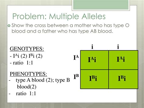 ppt genetics multiple alleles powerpoint presentation free download id 2326000