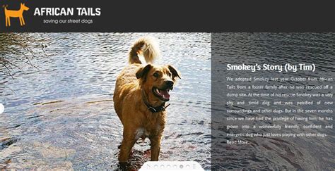 Shop pet essentials online on takealot.com. AFRICAN TAILS | Pet Health Care