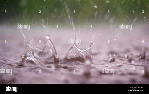 Close Up Large Heavy Drops Of Rain Rainfall Shower Fall With A