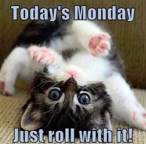 Check spelling or type a new query. Have a great Monday Ya'll! #mondayagain | Good morning ...