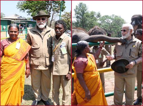 Pm Modi Meets ‘the Elephant Whisperers Couple Bomman And Bellie In