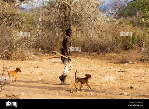 Hunters With Bows And Arrows Of The Hadzabe Indigenous Ethnic Group In