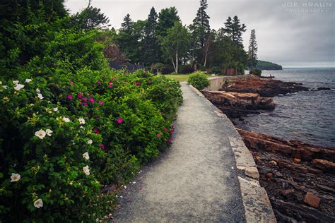 Joes Guide To Acadia National Park Bar Harbor Shore Path Photos