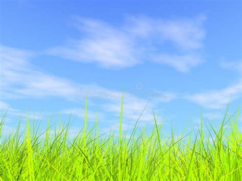 Fresh Green Grass On Blue Sunny Sky Background Royalty Free Stock