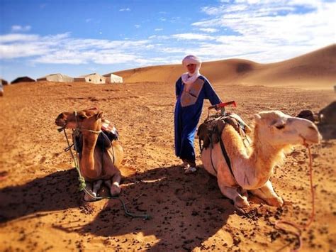 Footage shows unknown beast walk slowly through wasteland. In pictures: a photographic journey through Morocco ...