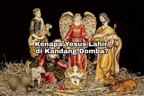 Alasan Kenapa Yesus Lahir Di Kandang Domba AyatAlkitab ID