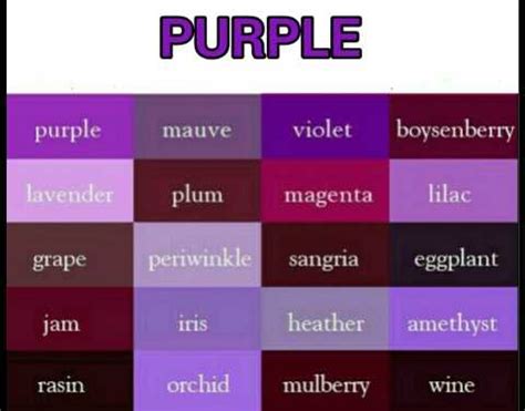Padanan Warna Purple | Desainrumahid.com