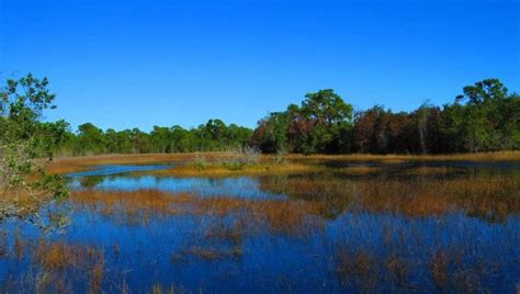 15 Best Things To Do In Port St Lucie Fl The Crazy Tourist