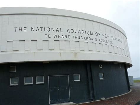 National Aquarium Of New Zealand Napier Aktuelle 2021 Lohnt Es