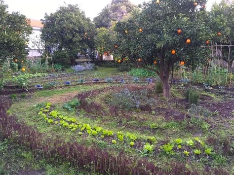 Permaculture Food Forest How To Grow A Luxurious Garden