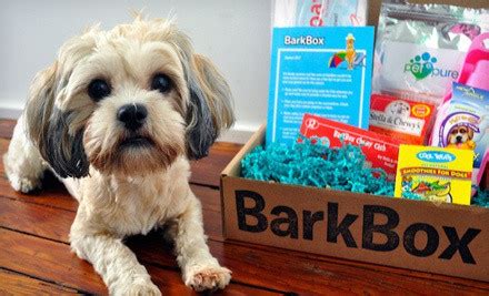 Finding the perfect gifts for dogs can be a challenge. Donate to Last Hope K9 Rescue