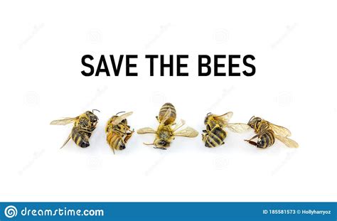 Save The Bees Decline In Bees Due To Habitat Destruction Pollution