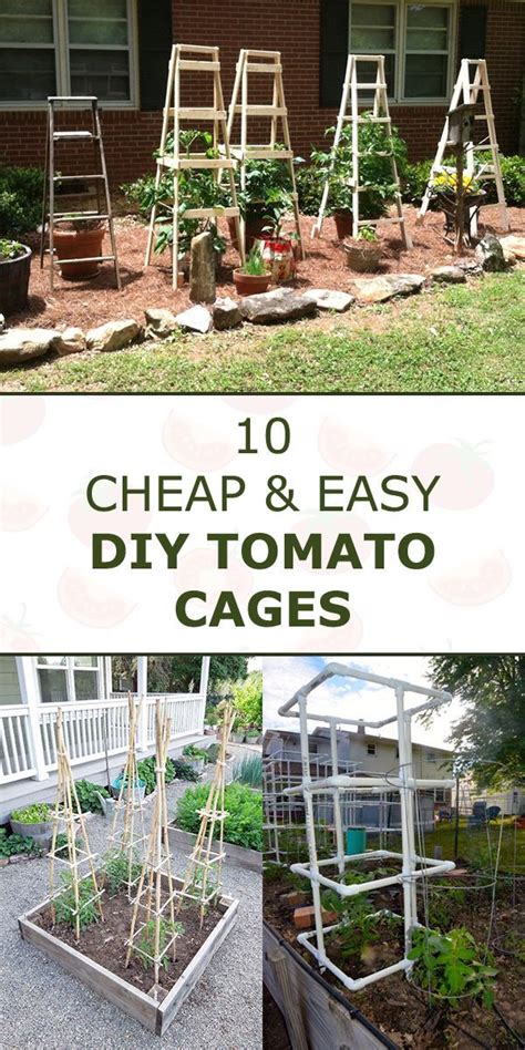 10 Cheap And Easy Diy Tomato Cages Tomato Cages Trellis Plants Easy Diy