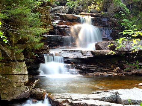 Jungle Streams Summer Landscape Hd Wallpaper Preview