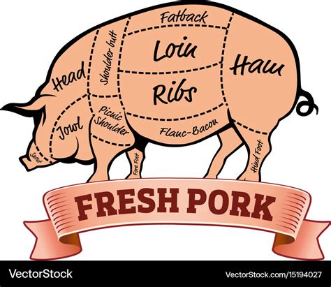 Pork Pig Parts Us Pork Cuts Royalty Free Vector Image