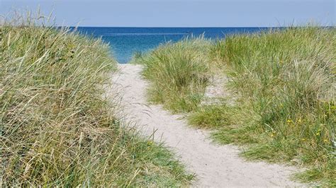 høve strand Öffentlicher strand