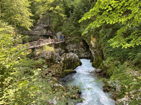Vintgar Gorge Ou Gorge Sangrado Slovenia Triglav National Park Vintgar