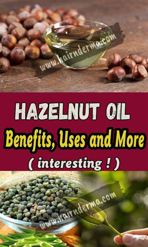 Hazelnut Oil Benefits Uses And Side Effect Hazelnut Oil Herbal