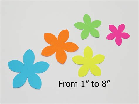 Paper Flowersbright Colors Five Petal Flower Star Shape