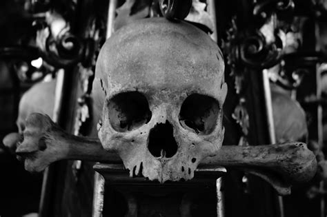 Free Images Black And White Skull And Crossbones
