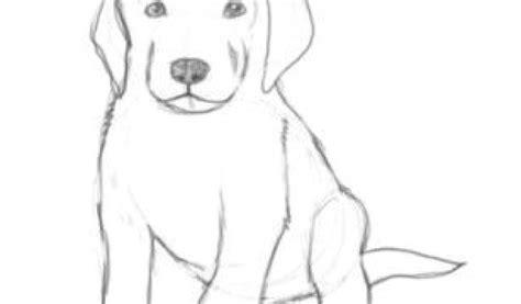 Easy Drawings Of Dogs Cute This Tutorial Will Help Students Draw A