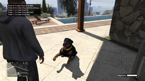 Grand Theft Auto V Franklin Chops Ifruit App Tricks