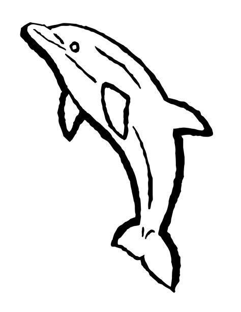 Dolphin Coloring Page Printable Printable World Holiday