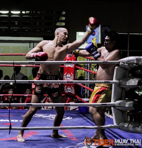 fighting thai tiger muay thai and mma training camp guest fights february 17th 2014 including