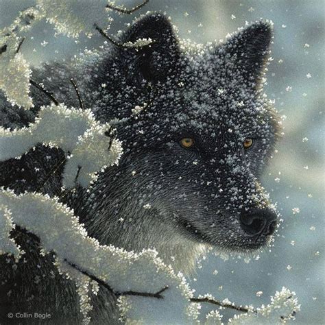 Pin By Tonya Cate On Wolf Wolf In Snow Animal Paintings Wildlife