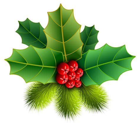 Holly PNG, Christmas Holly, Border, Leaves Clipart Free Download - Free png image