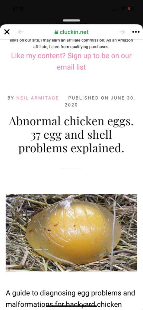 Abnormal Chicken Eggs 37 Egg And Shell Problems Explained Cluckin