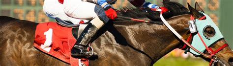 Yes, the intent of care, custody and control insurance is to provide coverage for people who board, train, breed, or are legally responsible for horses they do not own. Care, Custody or Control - Equine Insurance Specialists
