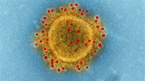 VERIFY: 'Coronavirus patents' are from older viruses, not ...