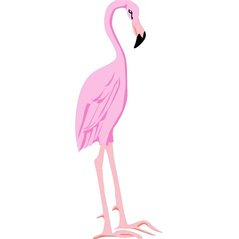 Titlted Standing Flamingo Png Svg Clip Art For Web Download Clip Art