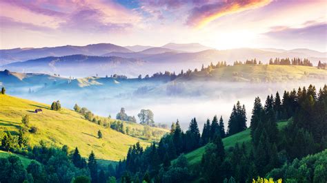Carpathians 4k Pines Hills Sunset Fog Hd Wallpaper