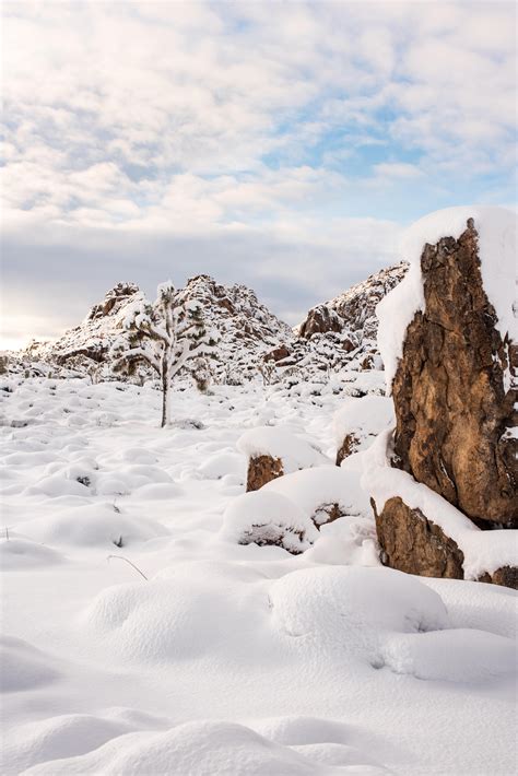 Itap Of Rare Snow In Joshua Tree National Park Itookapicture
